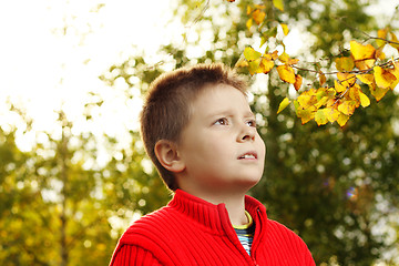 Image showing Boy and autumn leaves