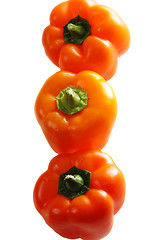 Image showing Three orange paprikas in a row