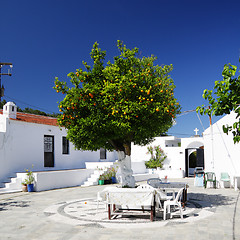 Image showing Tangerine tree