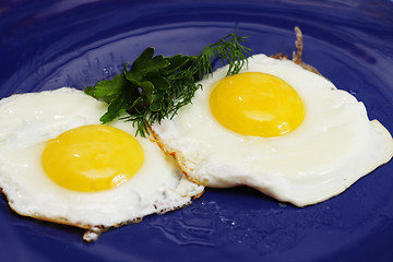 Image showing Fried eggs