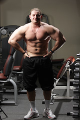 Image showing Body-builder