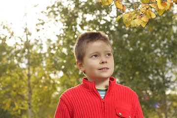 Image showing Under yellow leaves