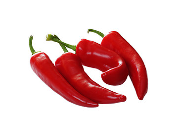 Image showing Four chili peppers