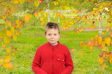 Image showing Boy in autumn park