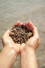 Image showing Palms with sea sand