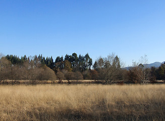 Image showing Landscape & breeze