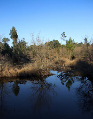 Image showing Lagoon reflex