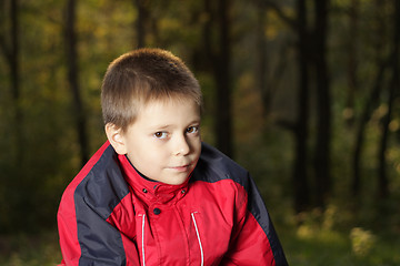 Image showing Boy in autumn forest