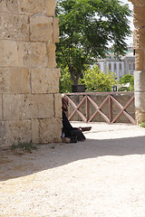 Image showing Beggar in Rhodes