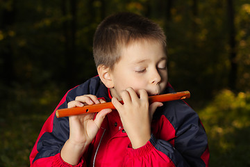 Image showing Flute musician