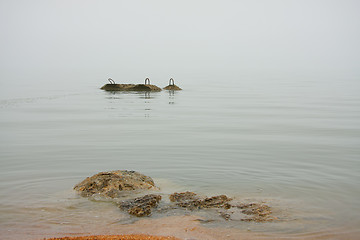 Image showing Fog over sea