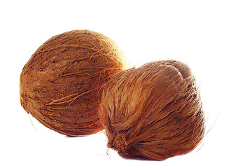 Image showing Two coconuts