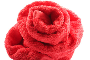 Image showing Towel rose