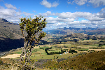 Image showing New Zealand