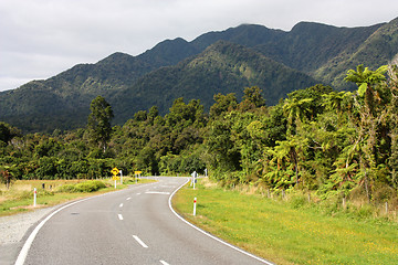 Image showing Westland National Park