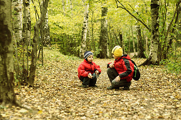 Image showing Chat in autumn forest