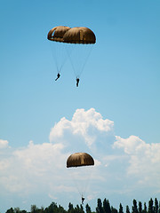 Image showing Group of parachutists