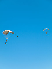 Image showing Group of parachutists