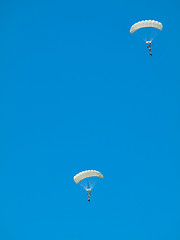 Image showing Group of parachutists