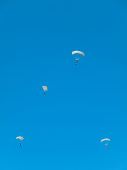 Image showing Group of parachutists