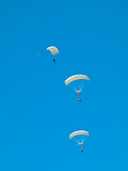 Image showing Group of parachutists