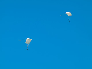 Image showing Group of parachutists