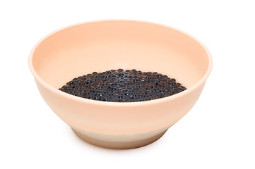 Image showing Black caviar