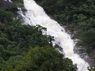 Image showing Rainforest Waterfall