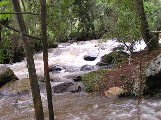 Image showing Mountain stream