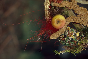 Image showing Feeding Crown