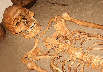 Image showing Skeleton of man