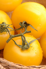 Image showing yellow tomatoes 2