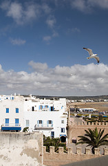 Image showing rooftop view beach and buildings essaouira morocco