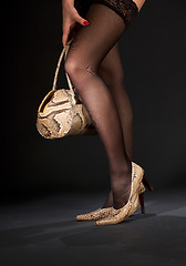 Image showing snakeskin shoes and handbag