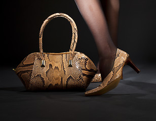 Image showing snakeskin shoes and handbag