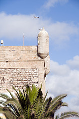 Image showing citadel historic fortress essaouira morocco