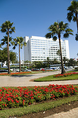 Image showing park with flowers casablanca morocco