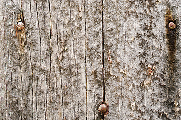 Image showing old grungy wood background texture