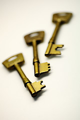 Image showing Gold keys