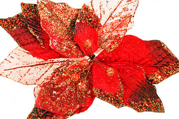 Image showing Red leaf