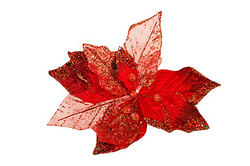Image showing Red leaf isolated