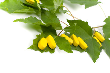 Image showing yellow vitamin pills over green leaves