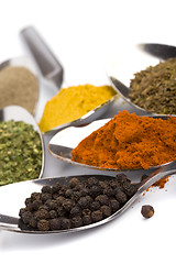 Image showing various spices