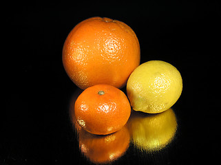 Image showing Citruses