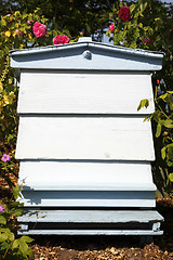 Image showing blue beehive