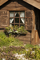 Image showing small wooden garden building