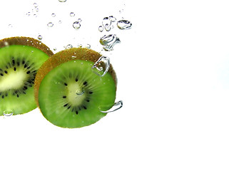 Image showing Splash kiwi