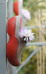 Image showing Clog and Flowers