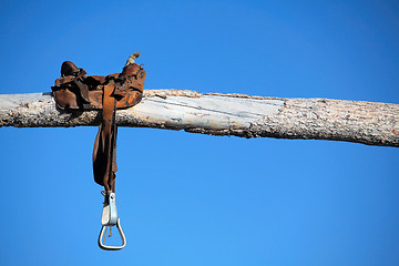 Image showing saddle on a log