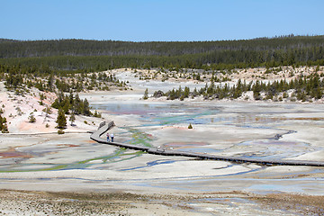 Image showing yellowstone national park - norris geyser basin